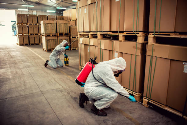 Best Cockroach Control Services  in Somerset, NJ