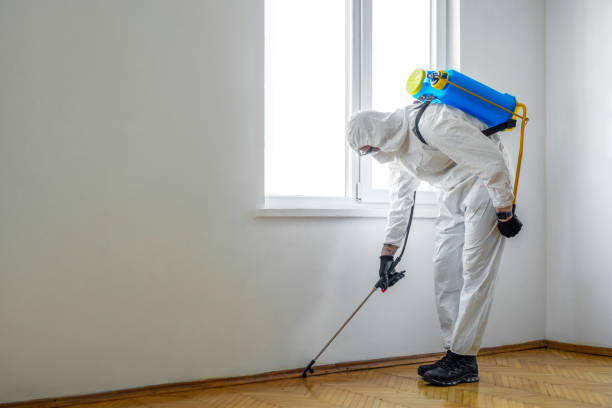 Best Residential Pest Control  in Somerset, NJ