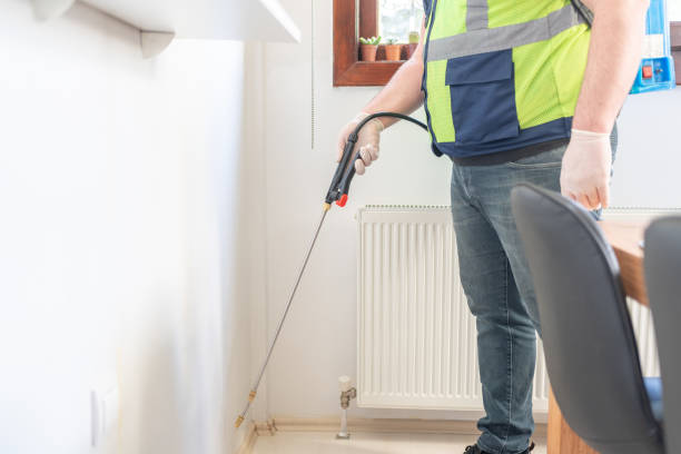 Flea Control Services in Somerset, NJ