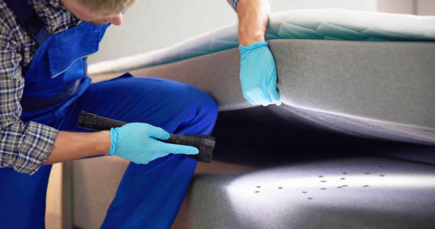 Best Wasp Removal Services  in Somerset, NJ