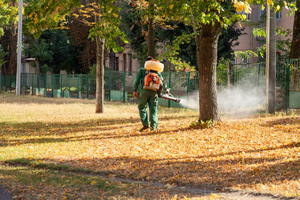 Best Bird Control  in Somerset, NJ